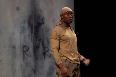 Bengal Tiger at the Baghdad Zoo review at Young Vic London 2026 starring Peter Forbes